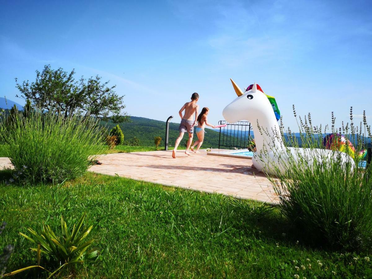Home Andrea With Infinity Salty Pool Roč Εξωτερικό φωτογραφία